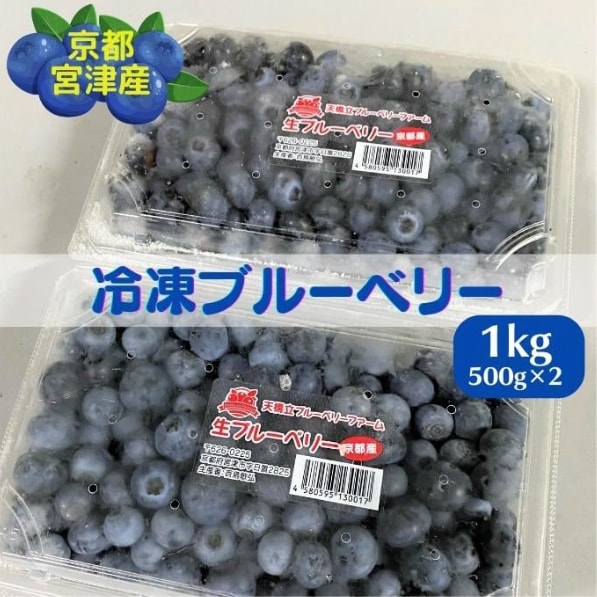 京都 天橋立産 冷凍 ブルーベリー 1kg(500g×2パック)(生食用)