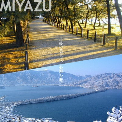 【京都 ツアー】宮津市 後から選べる旅行Webカタログ旅行クーポン(60,000円分)