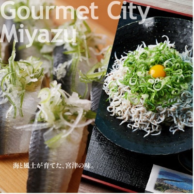 【京都 ツアー】宮津市 後から選べる旅行Webカタログ旅行クーポン(60,000円分)