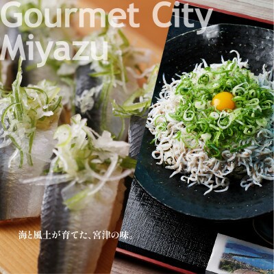 【京都ツアー】宮津市 後から選べる旅行Webカタログ旅行クーポン(300,000円分)