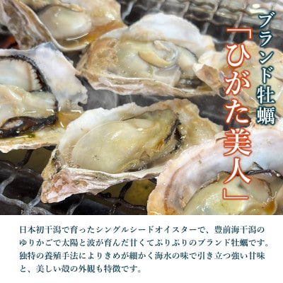 中津ひがた美人(牡蠣:15粒)