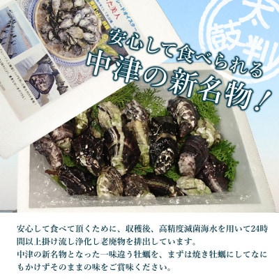 中津ひがた美人(牡蠣:15粒)