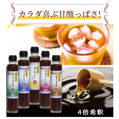 【蔵工房・二反田醤油】飲む黒酢 200ml×5本入 NS-1