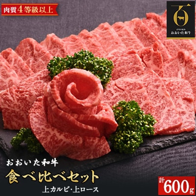 おおいた和牛食べ比べセット(上カルビ&上ロース)(合計600g)(中津市)