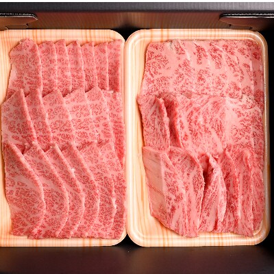 おおいた和牛食べ比べセット(上カルビ&上ロース)(合計600g)(中津市)