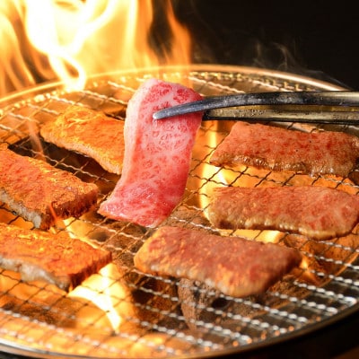 【2ヵ月毎定期便】おおいた和牛食べつくし(中津市)全6回