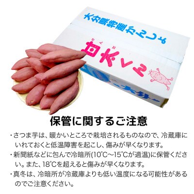 【期間限定】大分県産かんしょ 甘太くん 5kg M・L・2L さつまいも