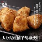 むね唐ゆず塩7個入り×4パック