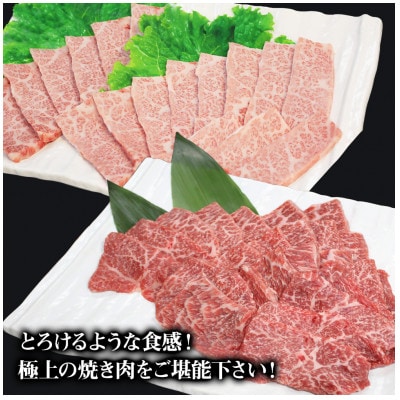 【数量限定】おおいた和牛もも・バラ焼肉用(各400g)(中津市)