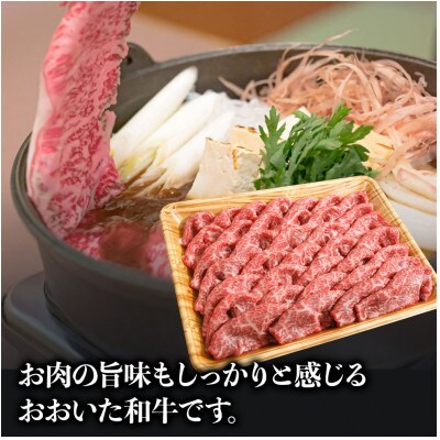 【数量限定】おおいた和牛ももスライス 700g(中津市)