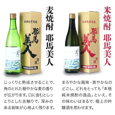 【耶馬渓限定】 耶馬美人「YABAKEI SPIRI酎 LABEL」