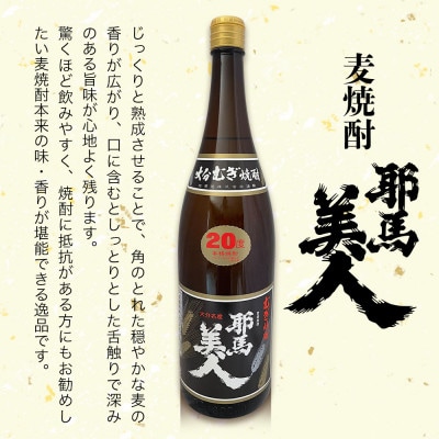 麦焼酎　耶馬美人20度　1,800ml×2