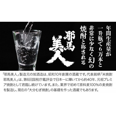 米焼酎・麦焼酎　耶馬美人25度　720ml×各5本