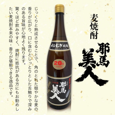 米焼酎・麦焼酎　耶馬美人20度　各1,800ml×1本