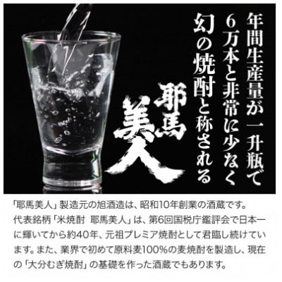 【毎月定期便】米焼酎　耶馬美人25度　 1,800ml×2　全3回