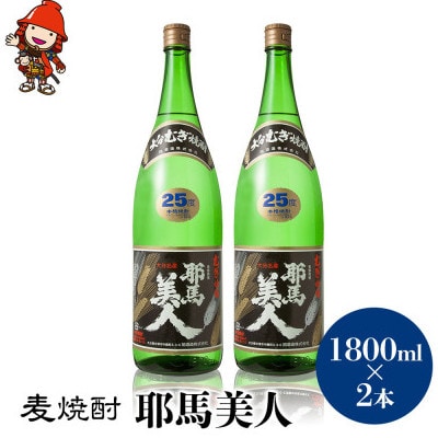 【毎月定期便】麦焼酎　耶馬美人25度　 1,800ml×2　全3回