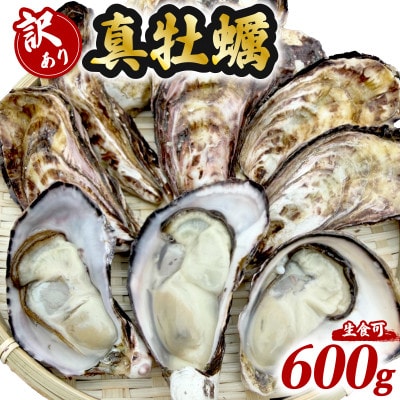 牡蠣 計600g 訳あり 生食用 殻付き 真牡蠣(中津市)