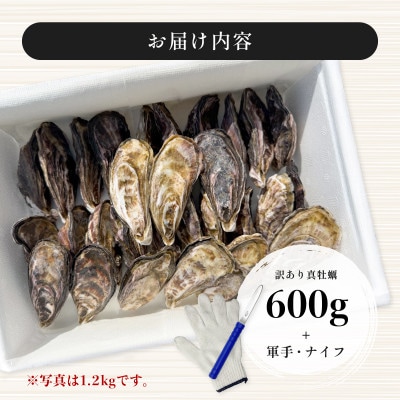 牡蠣 計600g 訳あり 生食用 殻付き 真牡蠣(中津市)