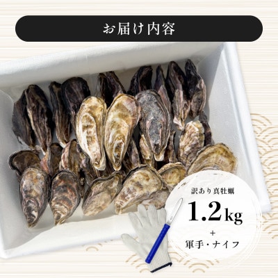 牡蠣 計1.2kg 訳あり 生食用 殻付き 真牡蠣(中津市)