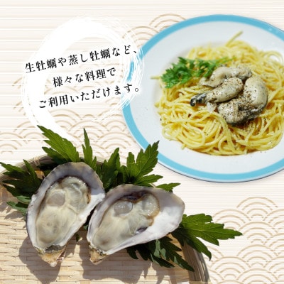 牡蠣 計1.2kg 訳あり 生食用 殻付き 真牡蠣(中津市)