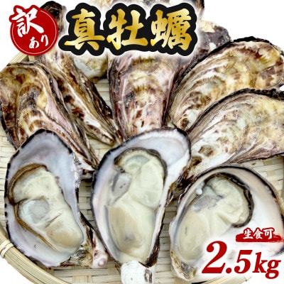 牡蠣 計2.5kg 訳あり 生食用 殻付き 真牡蠣(中津市)