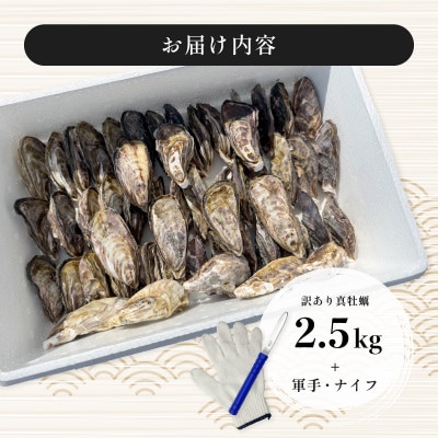 牡蠣 計2.5kg 訳あり 生食用 殻付き 真牡蠣(中津市)