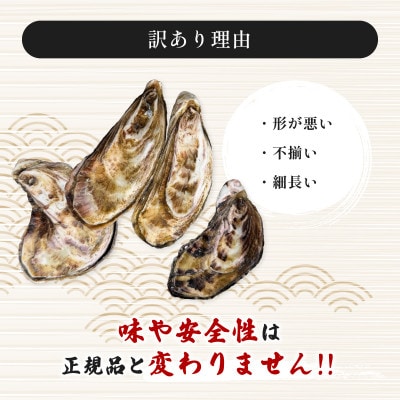 牡蠣 計2.5kg 訳あり 生食用 殻付き 真牡蠣(中津市)