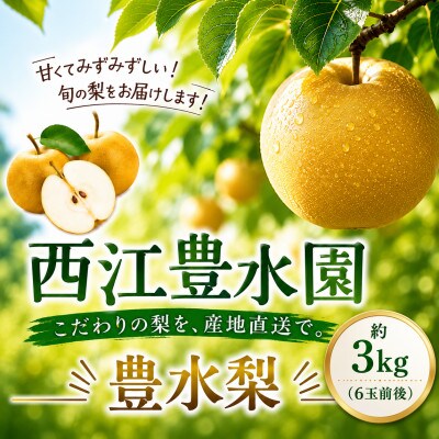 西江豊水園の豊水梨 約3kg(6玉前後)