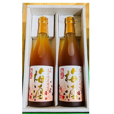 熟成高千穂梅酒(14度)720ml×2本セット　A-151