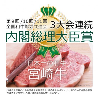 宮崎牛すじ1kg(500g×2)