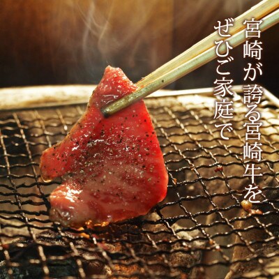宮崎牛焼肉セット450g(バラ・モモ・肩 各150g)(日之影町)