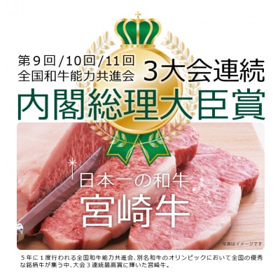 宮崎牛ヒレステーキ300g(150g×2)(日之影町)