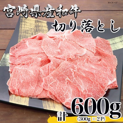 宮崎県産黒毛和牛切り落とし600g(300g×2P)(日之影町)