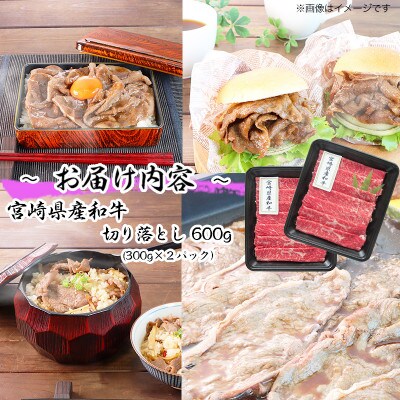 宮崎県産黒毛和牛切り落とし600g(300g×2P)(日之影町)