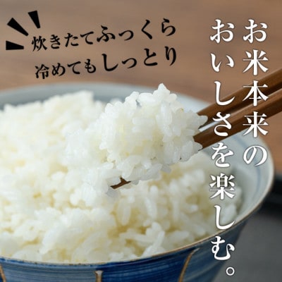 令和6年産 神々の里 高千穂郷ひのひかり計20kg(5kg×4袋)