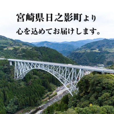 【2024年9月より順次発送】高千穂ひのかげ栗　2Lサイズ 約2kg