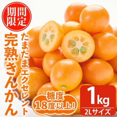 【先行受付】JAみやざき高千穂　完熟きんかんたまたまエクセレント　2Lサイズ　1kg