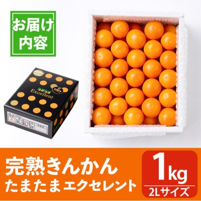 【先行受付】JAみやざき高千穂　完熟きんかんたまたまエクセレント　2Lサイズ　1kg