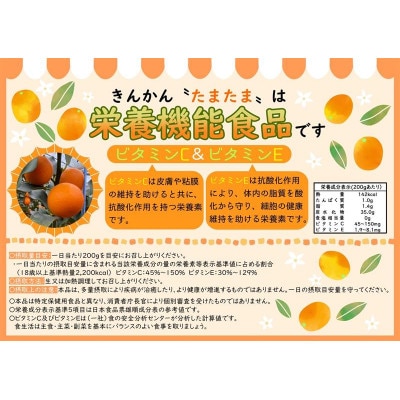 【先行受付】JAみやざき高千穂　完熟きんかんたまたまエクセレント　2Lサイズ　1kg