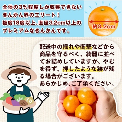【先行受付】JAみやざき高千穂　完熟きんかんたまたまエクセレント　2Lサイズ　1kg