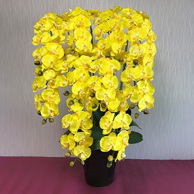 光触媒造花胡蝶蘭　10本立(イエロー)