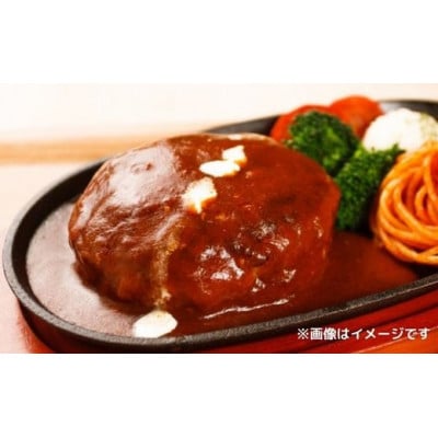 A5飛騨牛100%使用　ひき肉　500g
