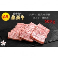 &lt;飛騨牛 メス牛&gt; 最高A5等級 カルビ 焼肉用 500g