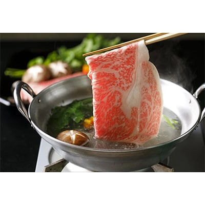 【毎月定期便】A5飛騨牛　5ヵ月ちょこちょこお届け(焼肉・すき焼き　ほか)全5回