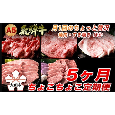 【毎月定期便】A5飛騨牛　5ヵ月ちょこちょこお届け(焼肉・すき焼きほか)全5回