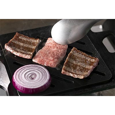 【毎月定期便】A5飛騨牛　5ヵ月ちょこちょこお届け(焼肉・すき焼きほか)全5回