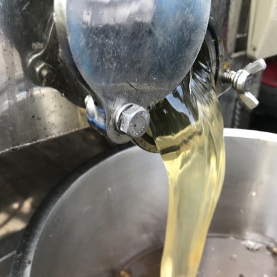 【国産蜂蜜】はちみつ食べ比べセット450g2本(とち蜂蜜、百花蜂蜜)