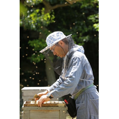 【国産蜂蜜】はちみつ食べ比べセット450g2本(くろがねもち蜂蜜、百花蜂蜜)