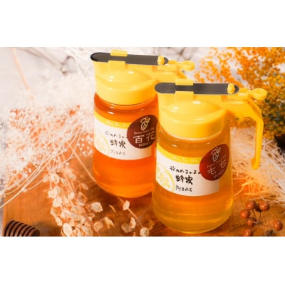 【国産蜂蜜】はちみつ食べ比べセット450gパッカー容器2本(くろがねもち蜂蜜、百花蜂蜜)
