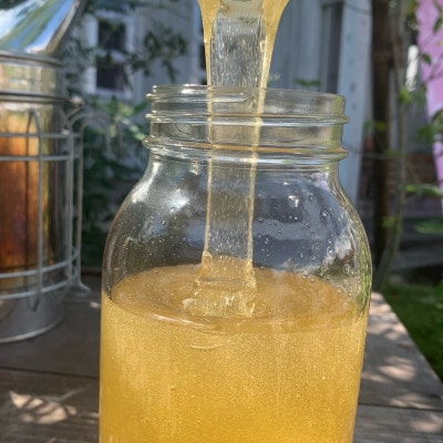 【国産蜂蜜】はちみつ食べ比べセット450gパッカー容器2本(くろがねもち蜂蜜、百花蜂蜜)